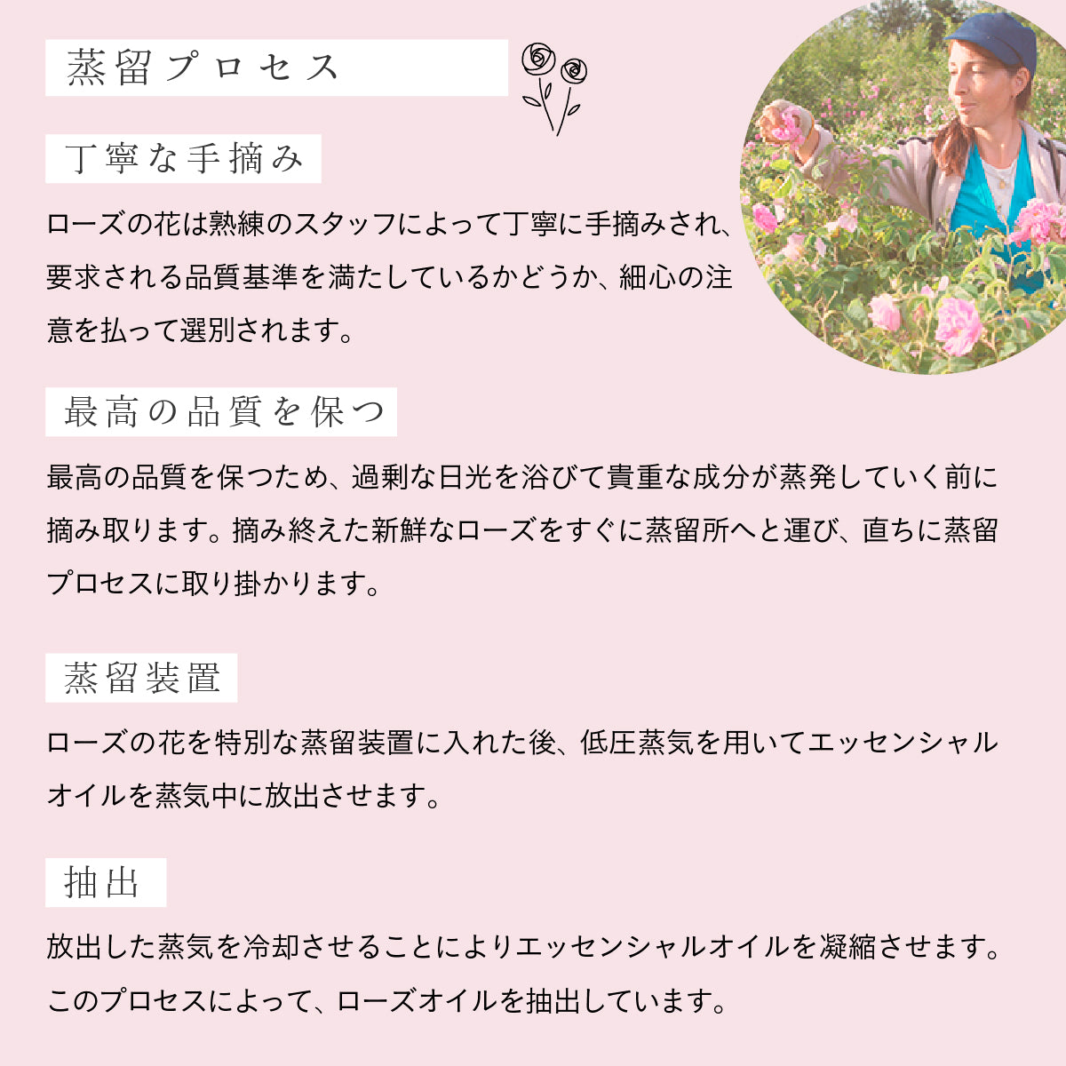 ALTEYA ORGANICS ブルガリアンローズローション 100ml