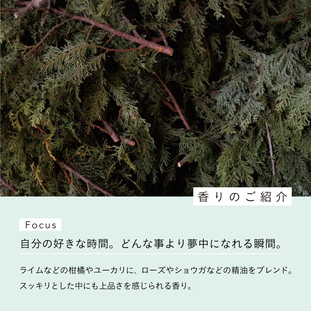 aroma recolte ソリッドパフューム Focus