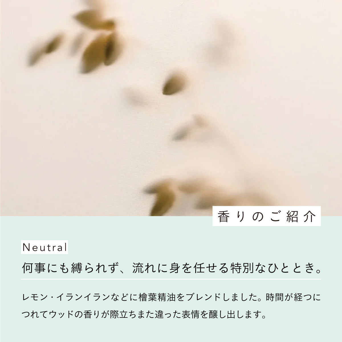 aroma recolte ソリッドパフューム Refresh