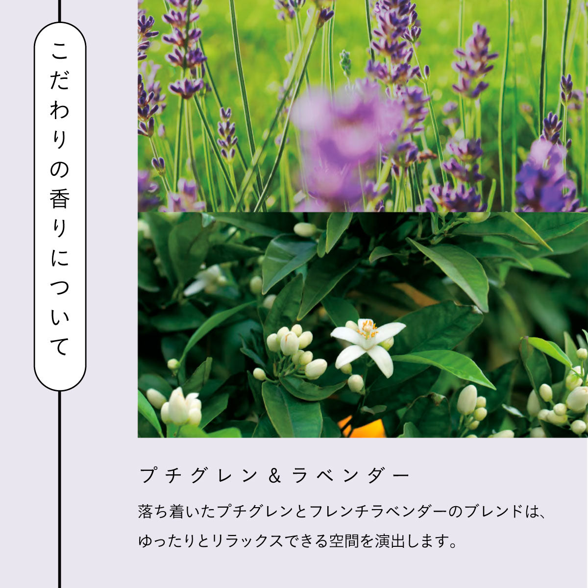 Aroma Works グラス入りキャンドル S バジル&ライム