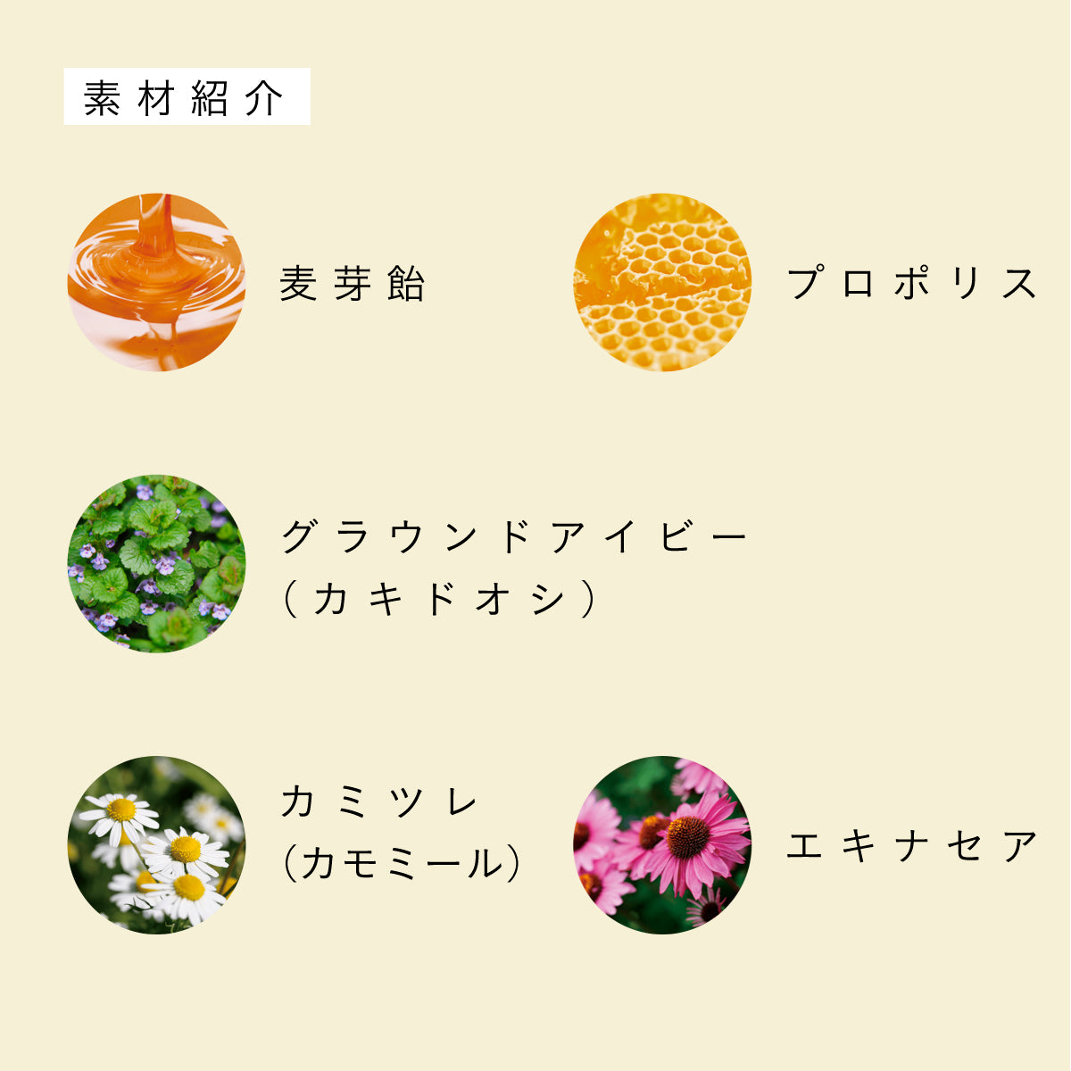 【5個セット】だいじょうぶなもの 百年はちみつのどあめ レザーウッドハニー＆ハーブ（生姜レモン＆はちみつ味）