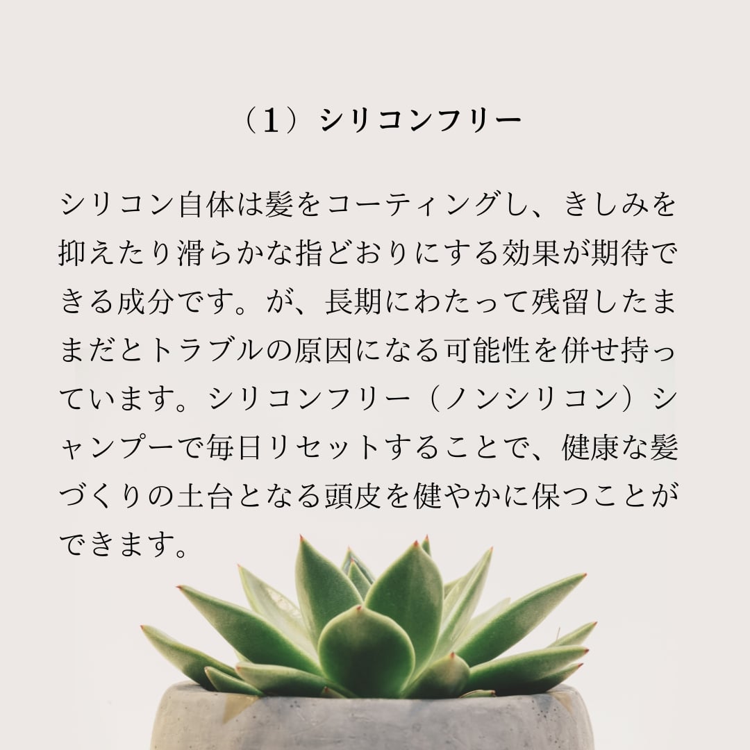 cinque オーガニックシャンプー詰替 280ml