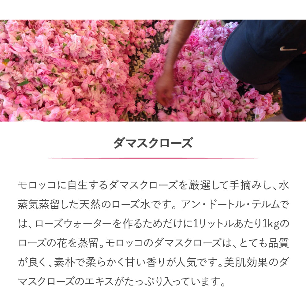 en d'autres thermes スペシャルケアセット