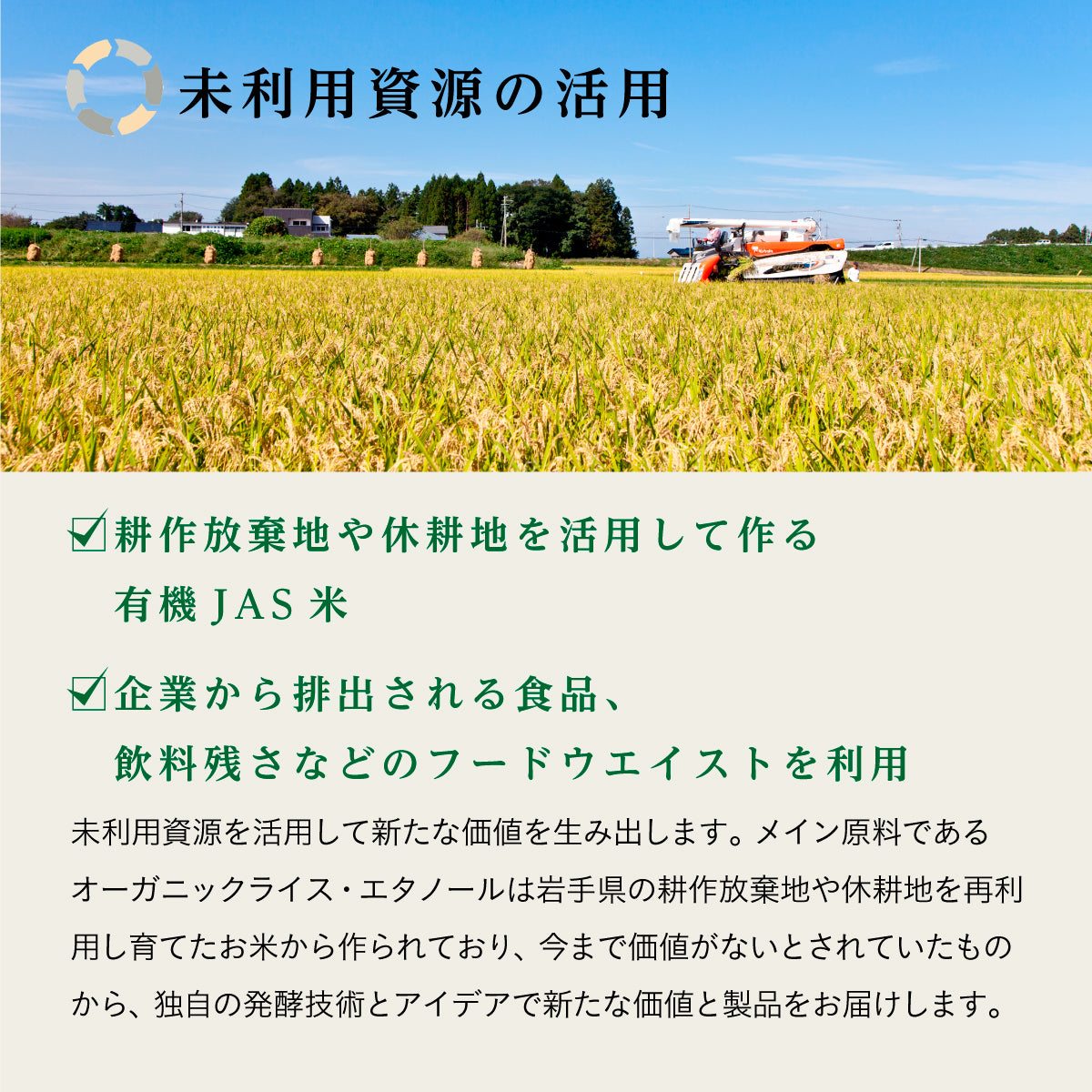 ファーメンステーション アウトドアスプレー 80ml レモングラス