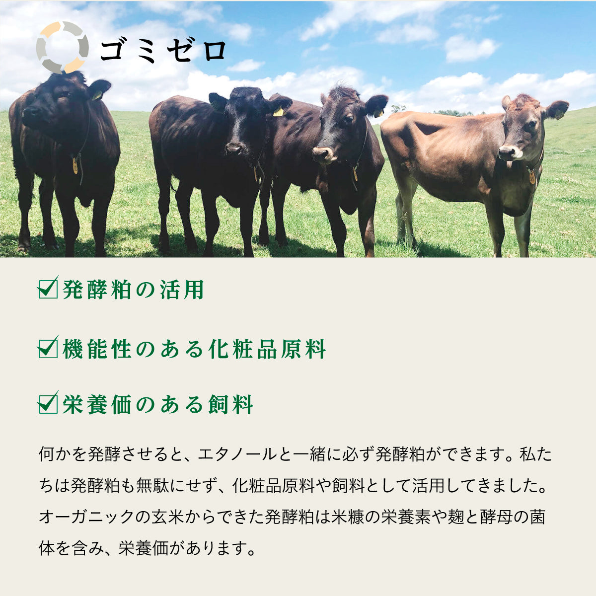 ファーメンステーション ホームエタノール 100ml