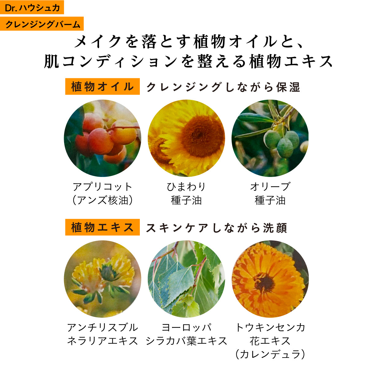 Dr.ハウシュカ クレンジングバーム