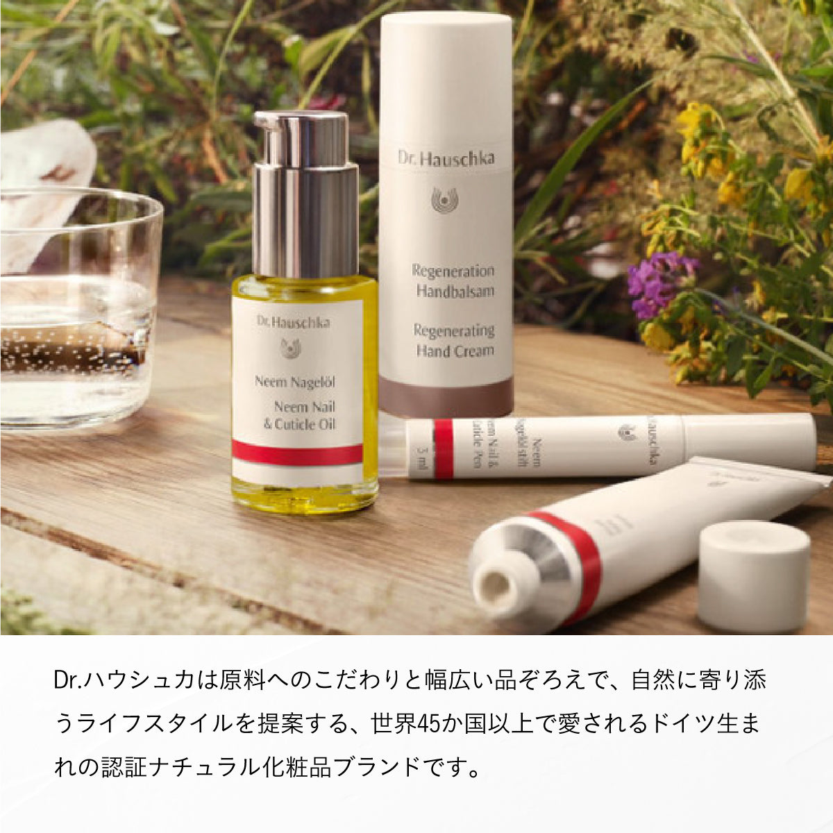 Dr.Hauschka ハンドクリーム 50ml