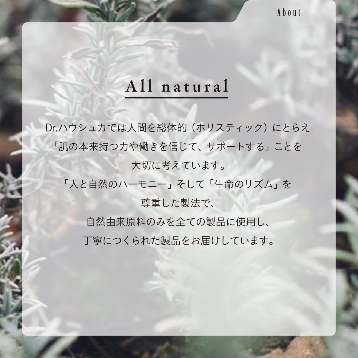 Dr.Hauschka ハンドクリーム 50ml