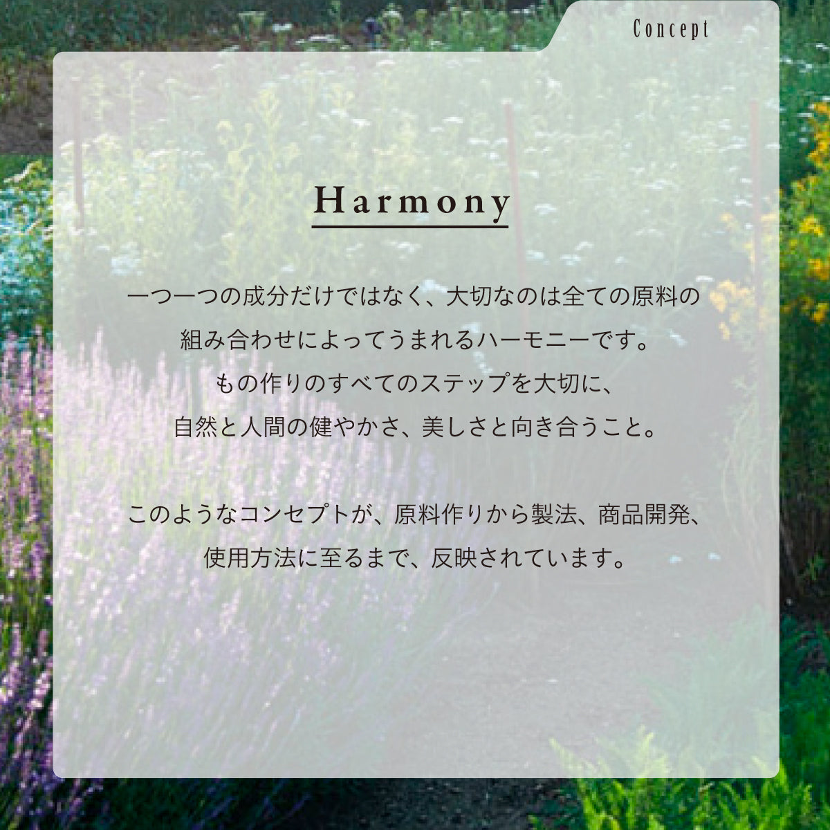 Dr.Hauschka ハンドクリーム 50ml