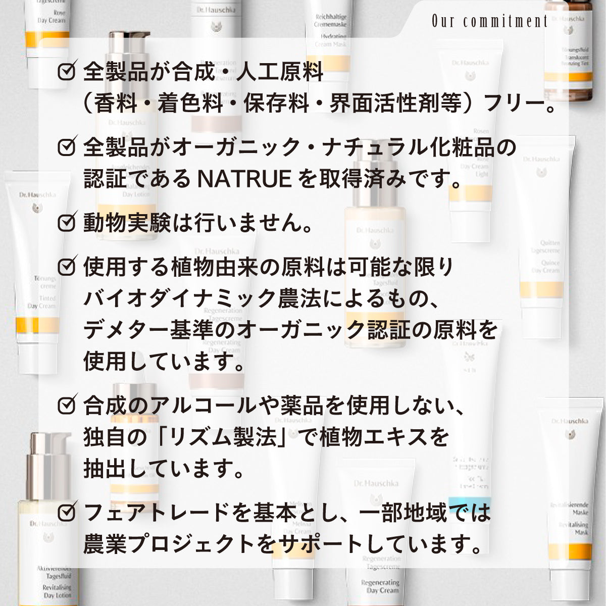 Dr.Hauschka ハンドクリーム 50ml