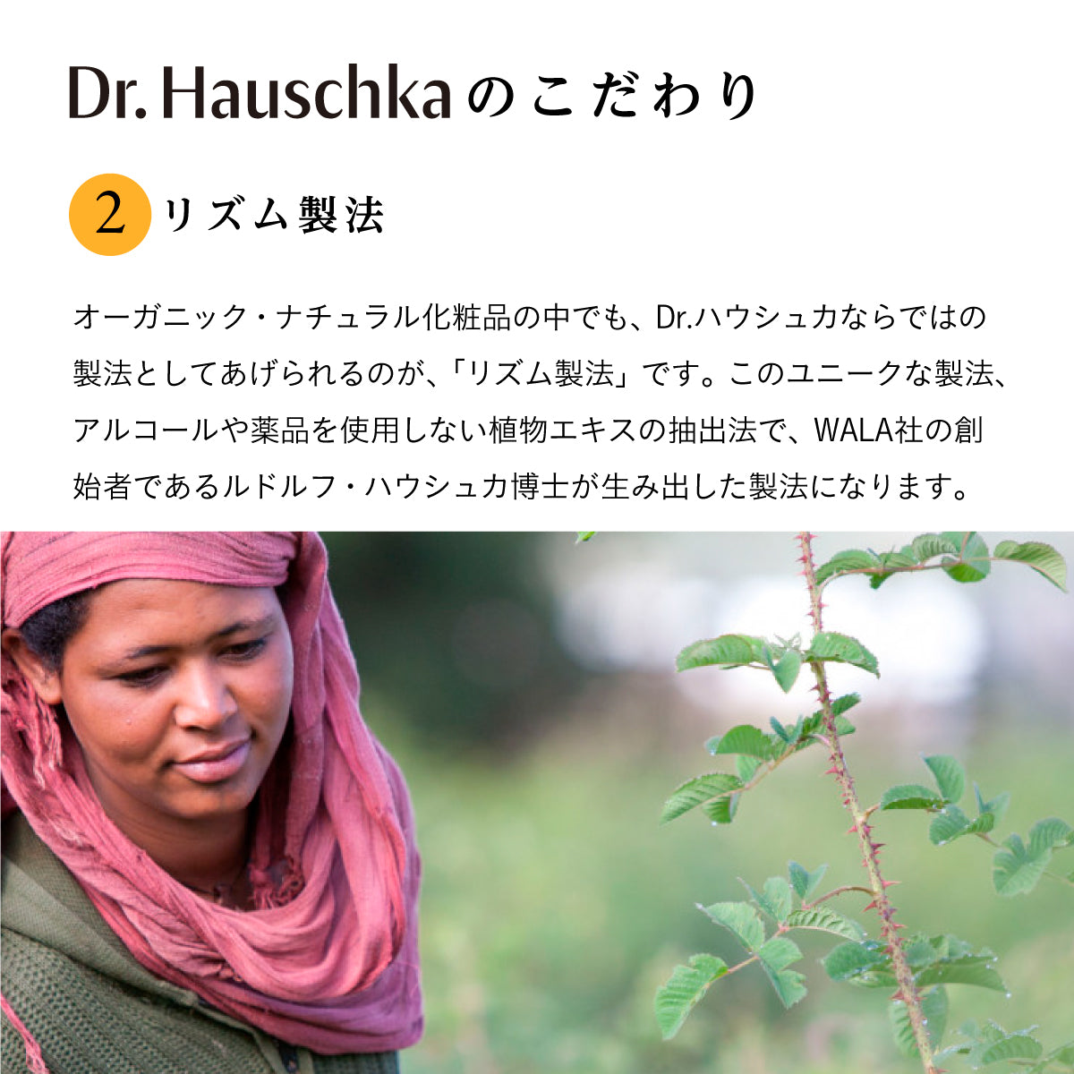 Dr.Hauschka ハンドクリーム 50ml