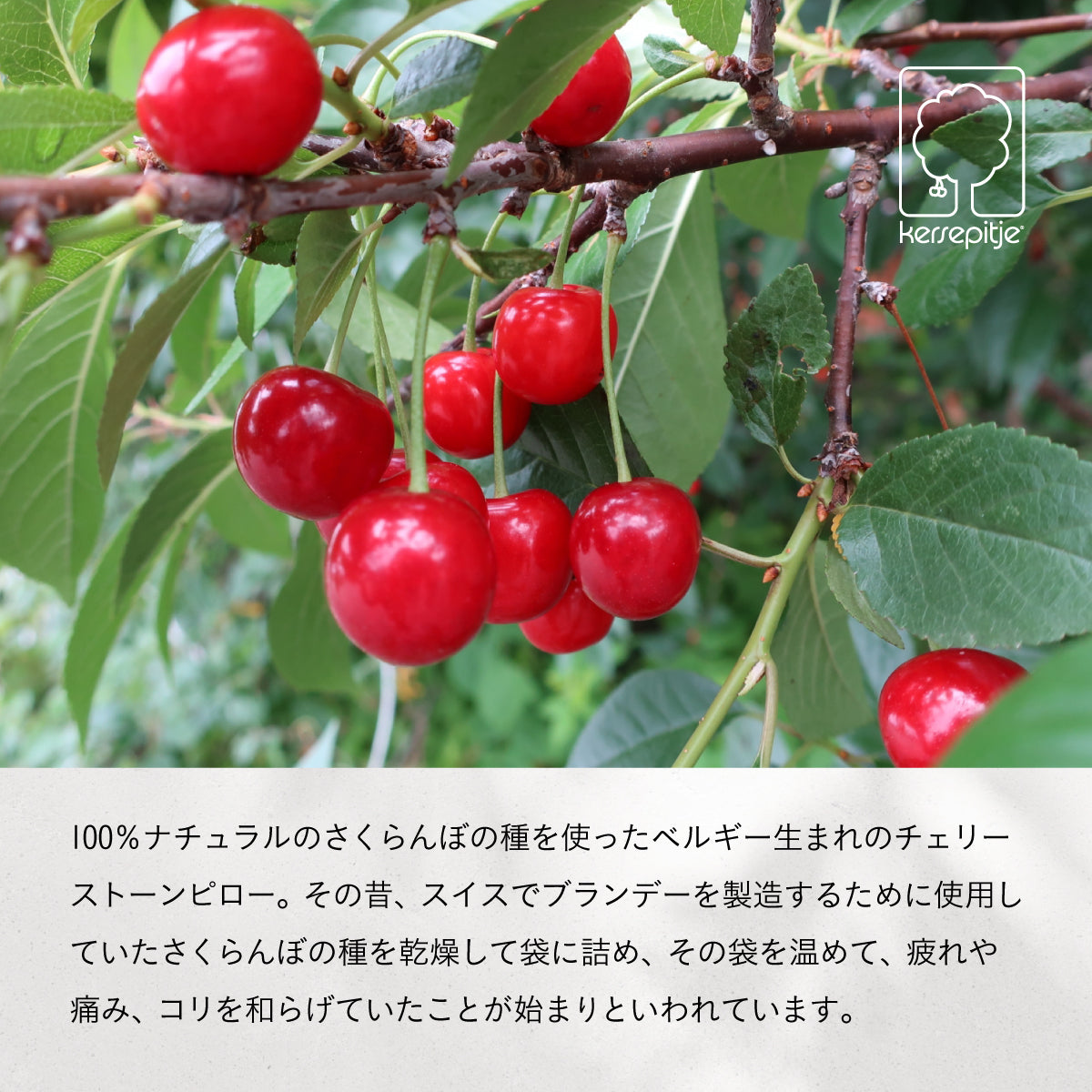 INATUTRA チェリーストーンピロー クラシック