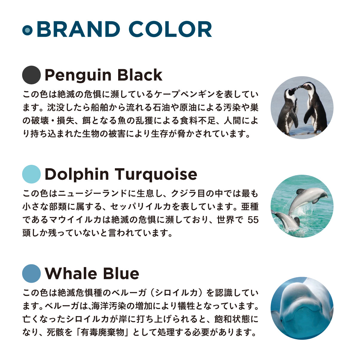 Last Object swab Beauty Blue