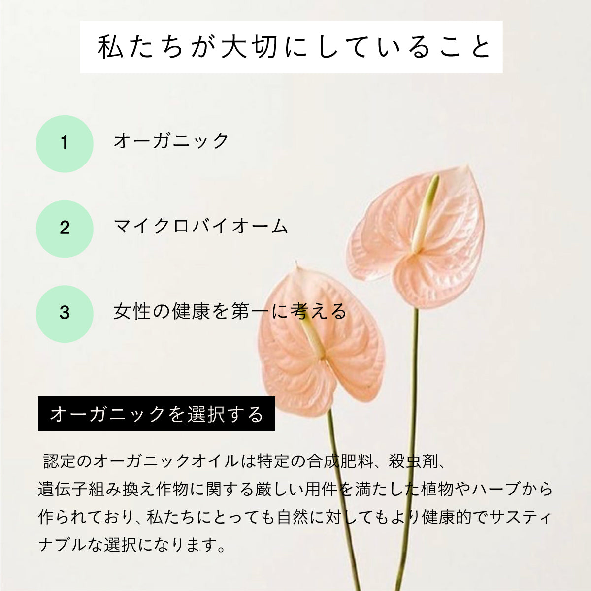LIP intimate care モイスチャライジングオイル&バームセット