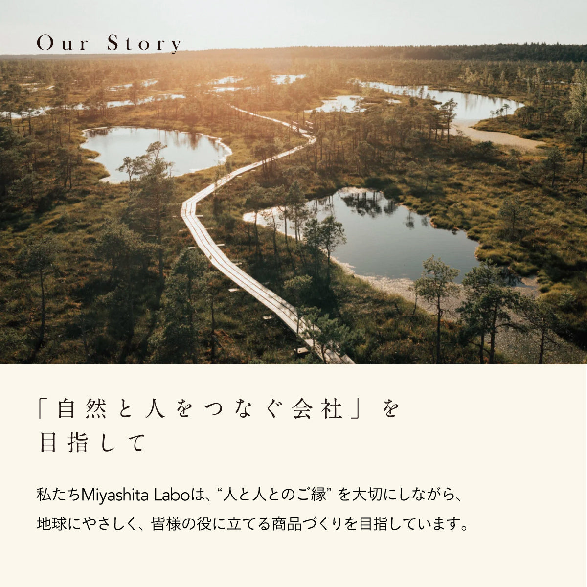 Miyashita Herbal Oil｜アーユルベーダ ハーブ ハーバルオイル