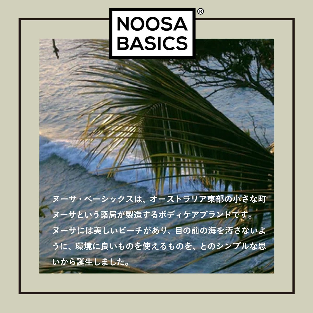 noosa basics スカルプセラム 50ml