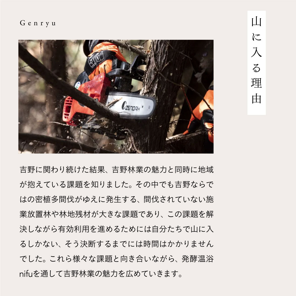 nifu wakan bath tablet 3錠入