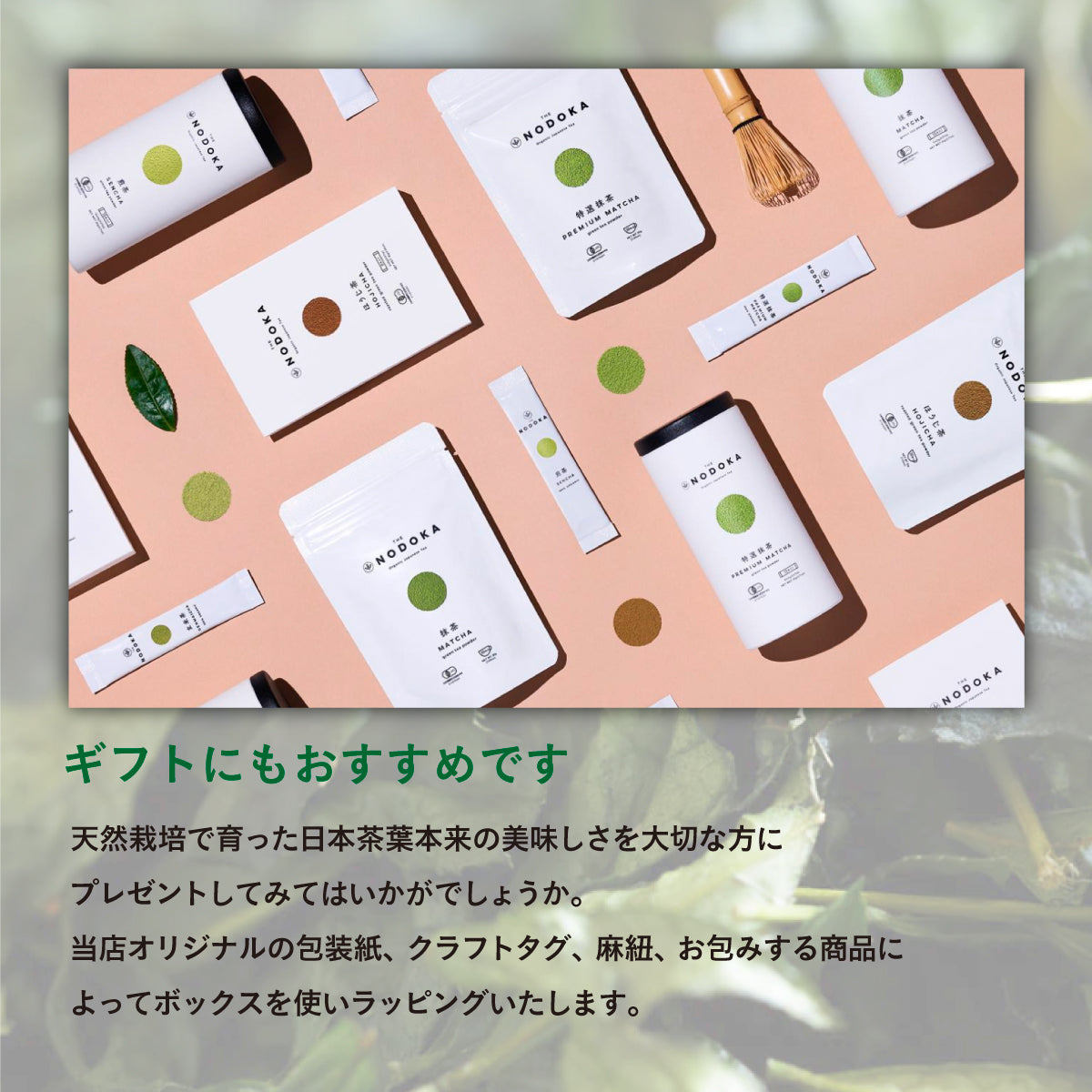 NODOKA オーガニック日本茶全種セット【紙缶 12本入 】