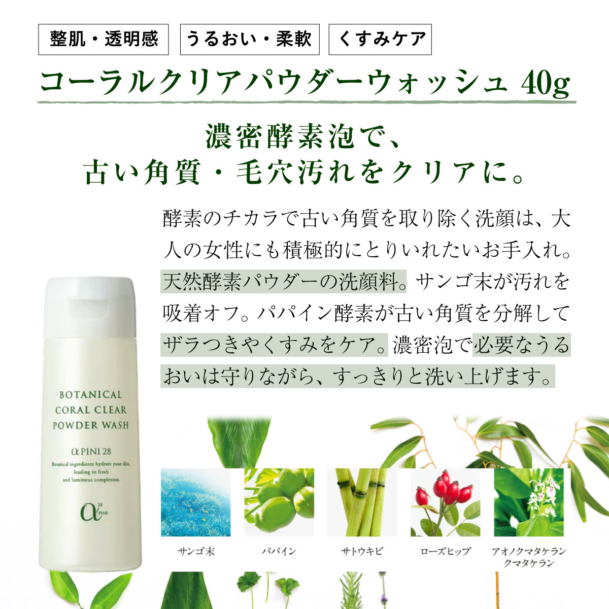 アルファピニ 28 クレンジング&パウダーウォッシュ セット