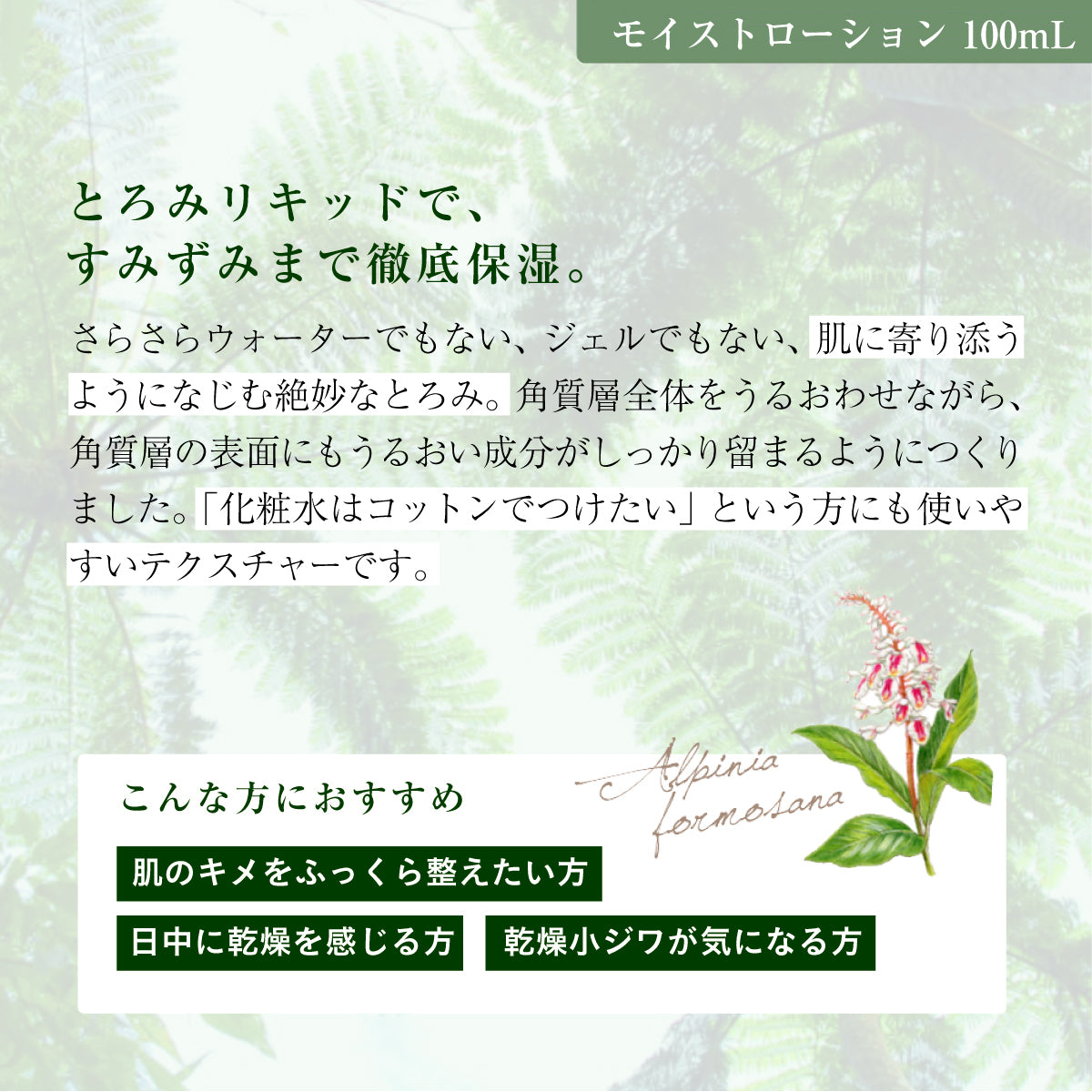 アルファピニ 28 モイストローション 100mL