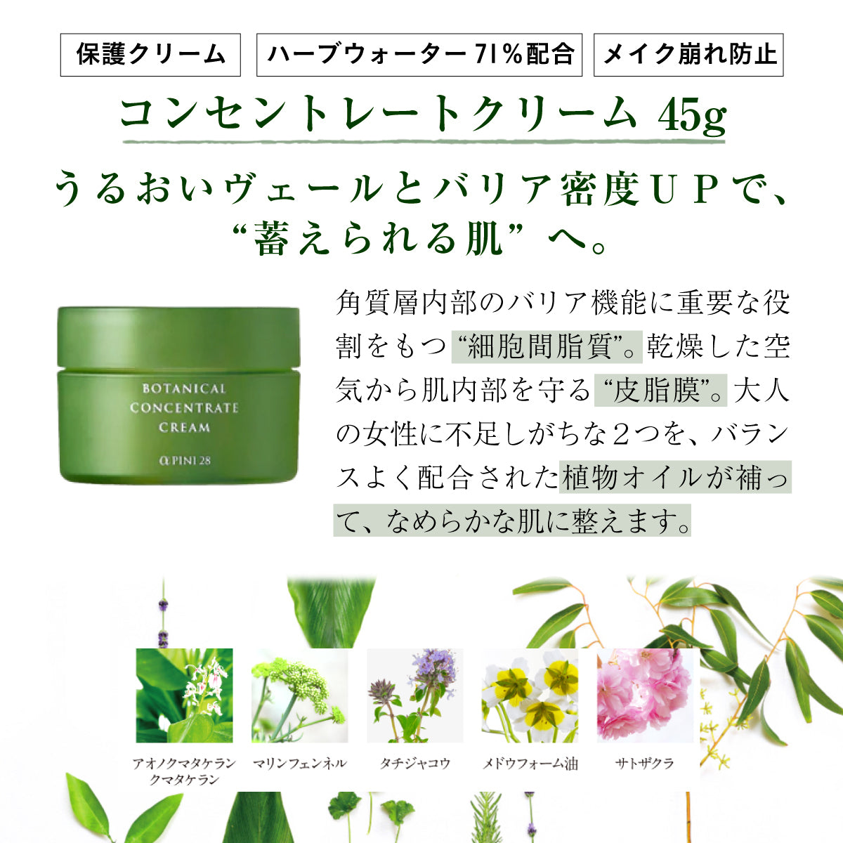 アルファピニ 28 コンセントレートクリーム 45g