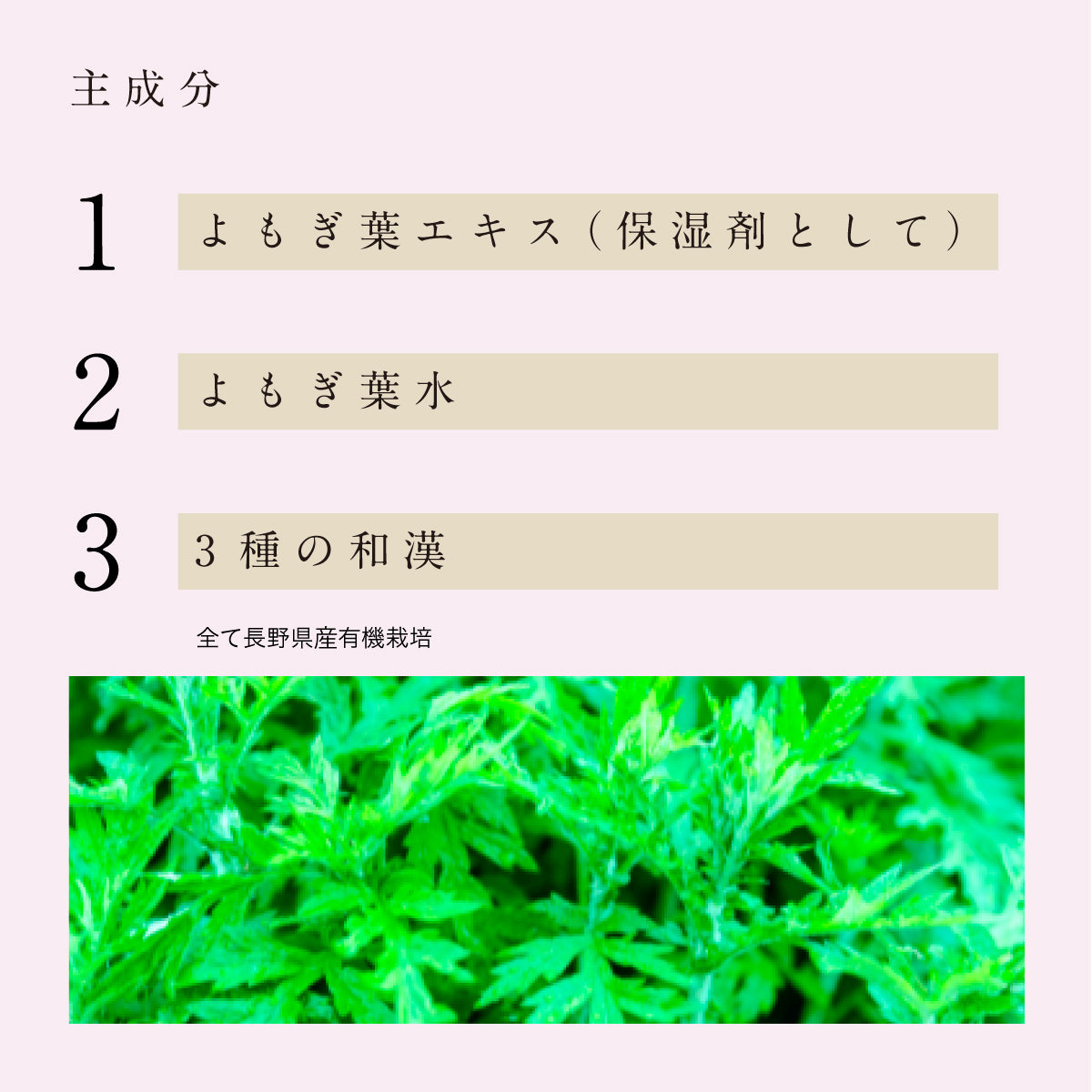 shiyu マッサージギフトセット