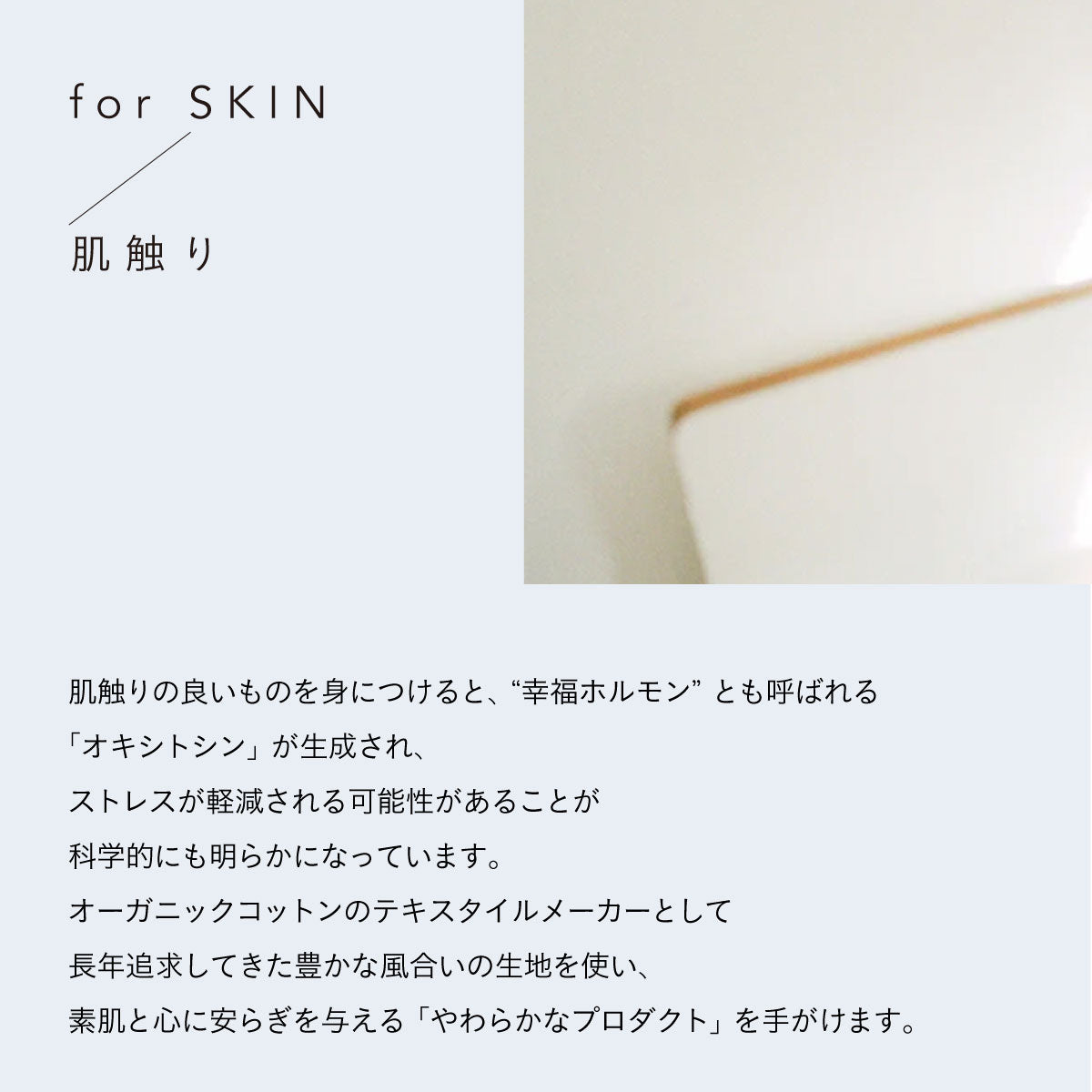 SISI FILLE LONG SLEEVE_AMELIA Ecru Free size