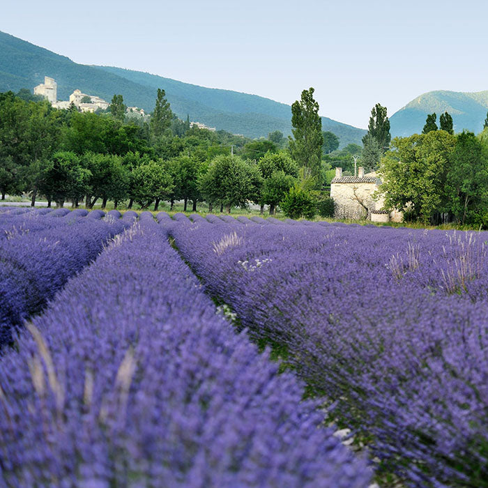 babybuba ボディ＆マッサージオイル