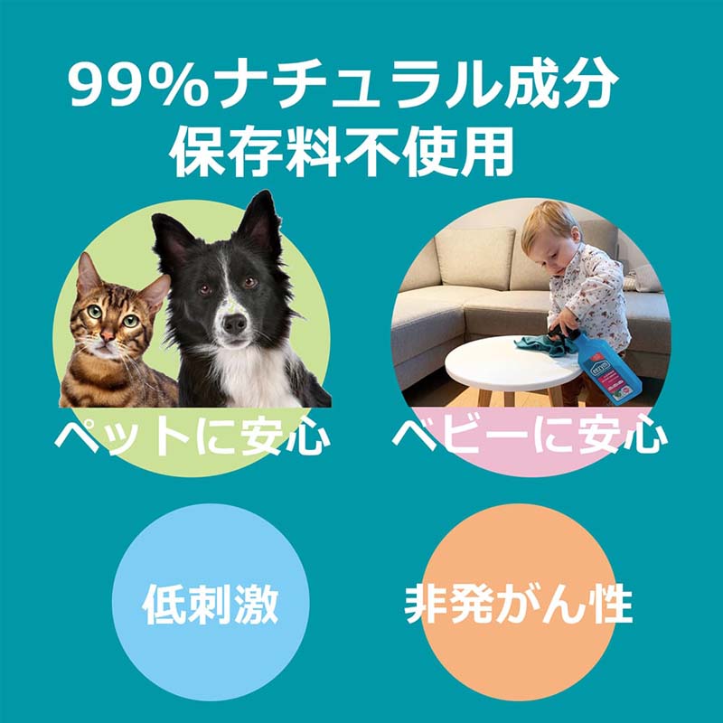 eezym マルチサーフェスクリーナー オレンジ 750ml