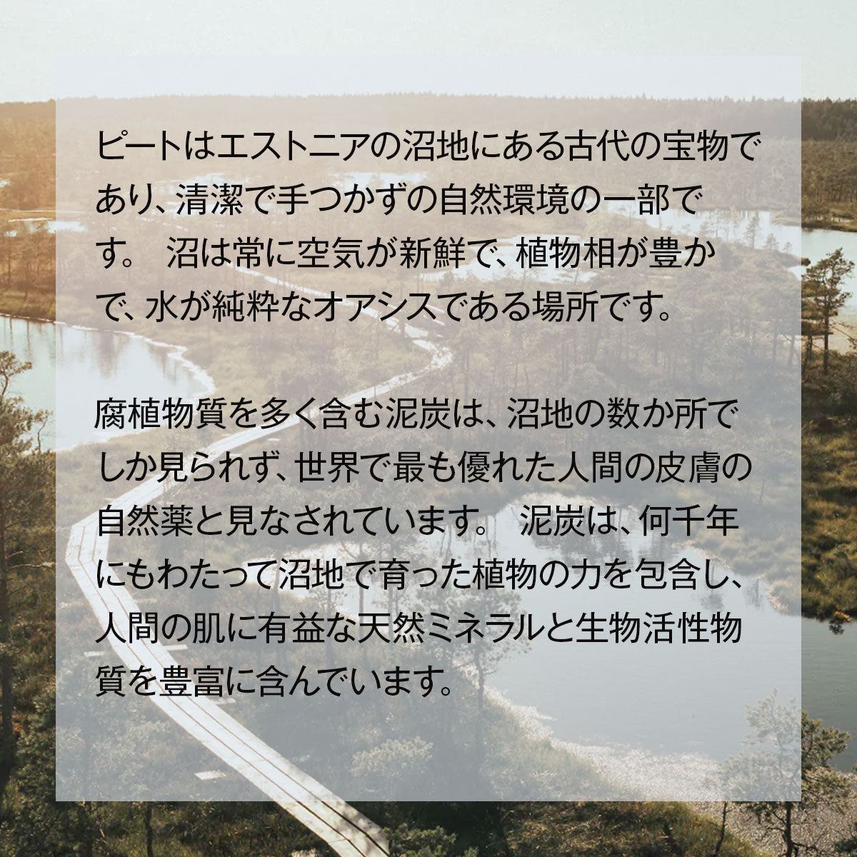 aesti ピート エストニア