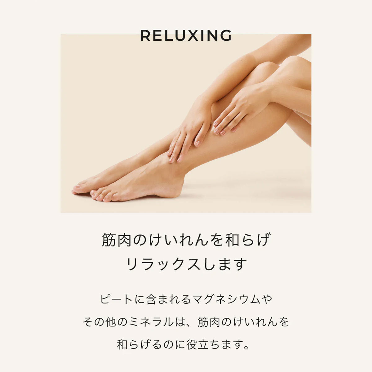 aesti ピート エストニア