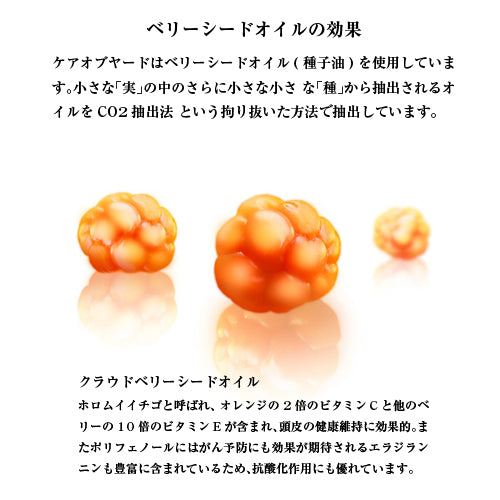 Care of  Gerd　クラウドベリーシャンプー ボリューム