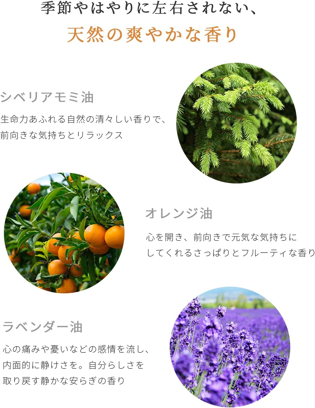 cinque ３日間トライアルセット