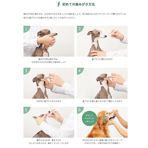 made of Organics for Dog 超やわらか歯ブラシ Ultra soft Mサイズ