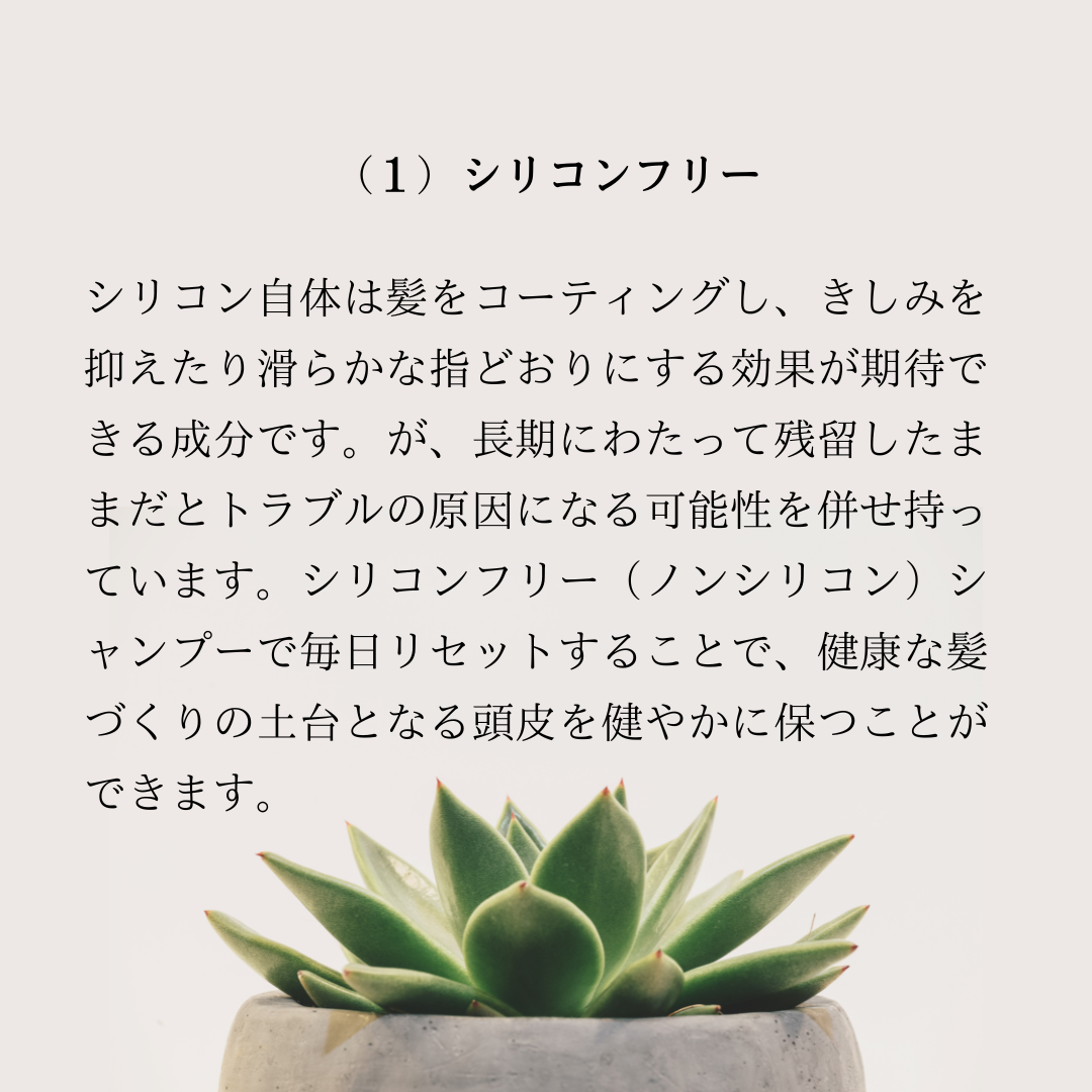 cinque ３日間トライアルセット