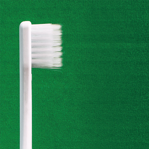 made of Organics ×ティースアート デイリー歯ブラシ