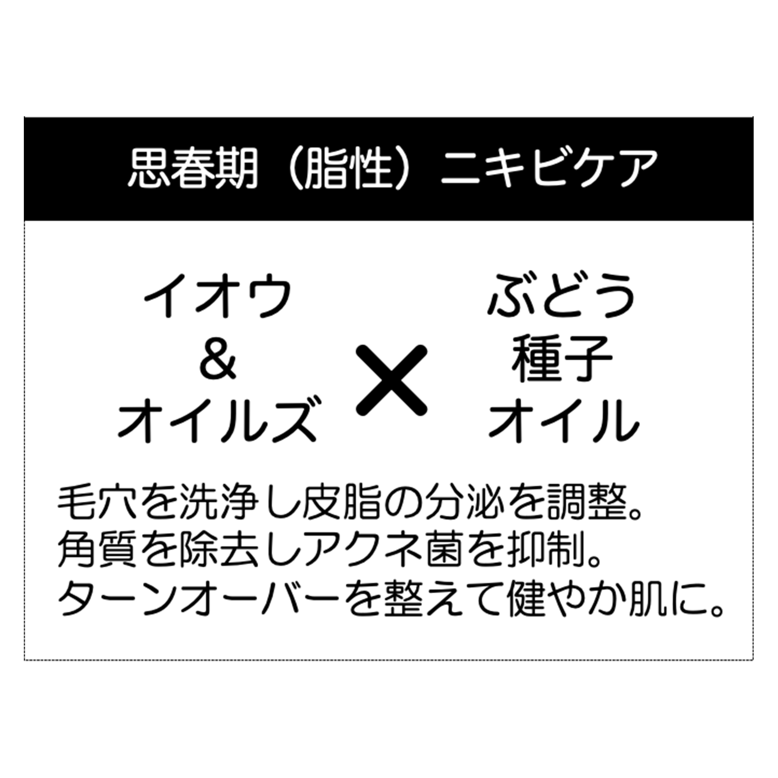 naturopian ぶどう種子オイル石けんミニ