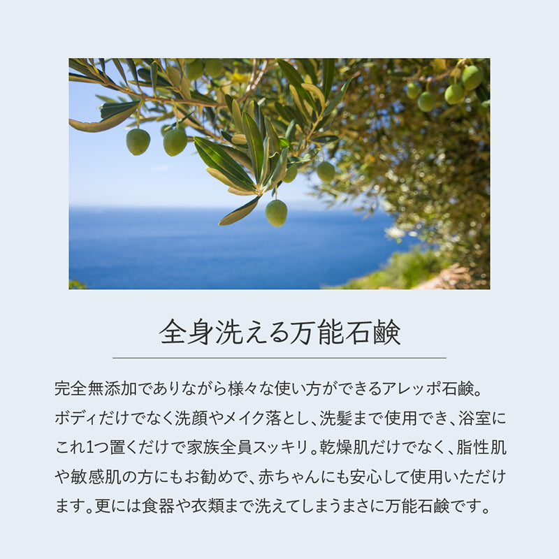 アレッポ石鹸 アラブの宝石