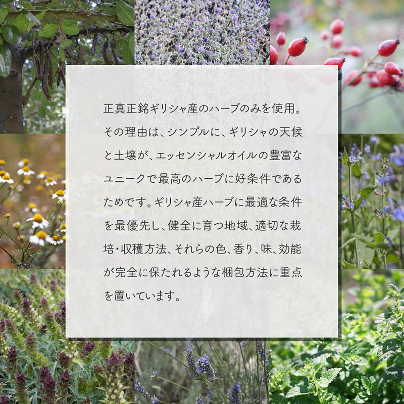 【紙箱タイプ】ANASSA ハーブティー PURE SYMMETRY