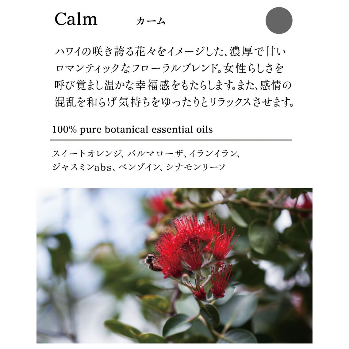 'ala Lehua ハンド&ネイルクリーム 50g Calm(カーム)