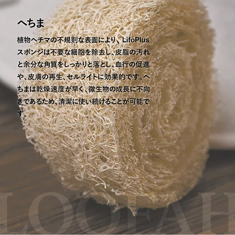 LifoPlus ミットクラシック