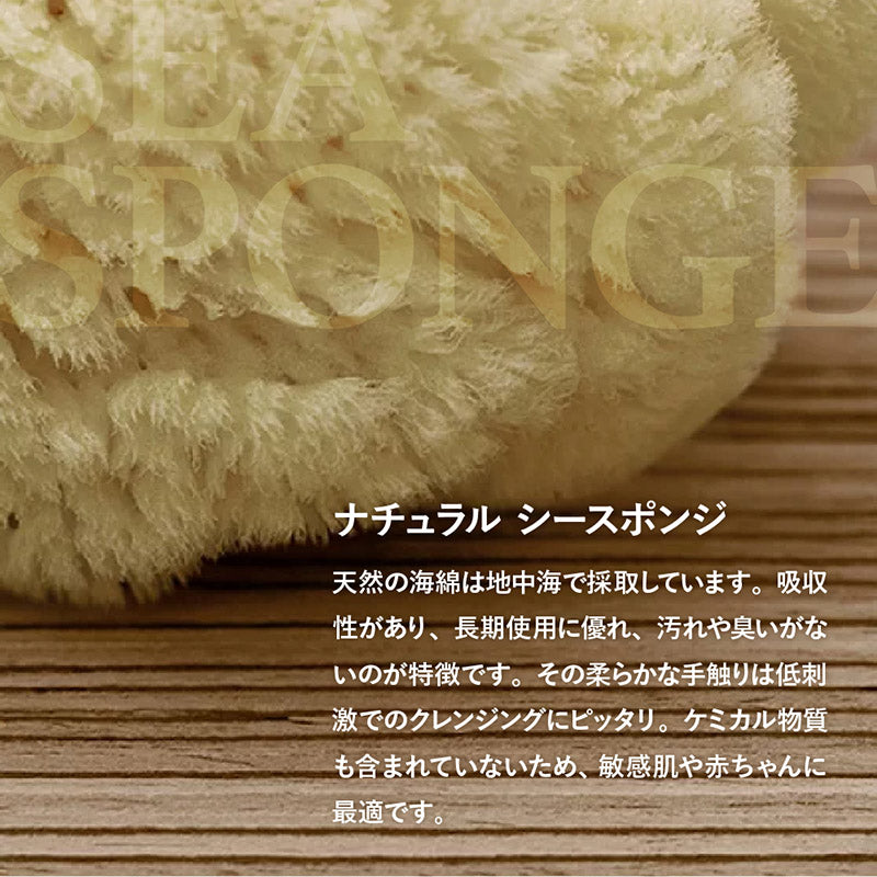 LifoPlus ナチュラルシースポンジ スモール