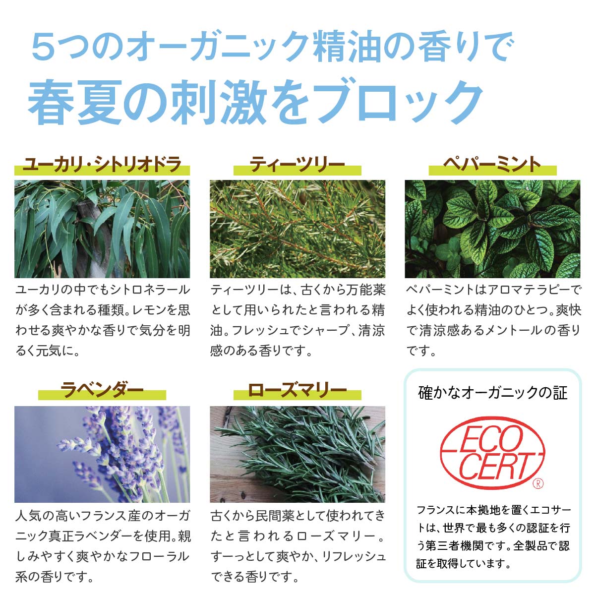 【2個セット】babybubaアウトドアボディスプレー(100ml & 250ml)